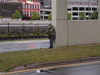 Duluth, MI